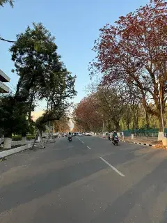 Panjab University Chandigarh Campus photo 2